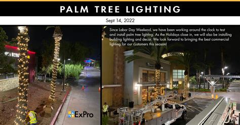 Palm Tree Lighting | Exterior Products