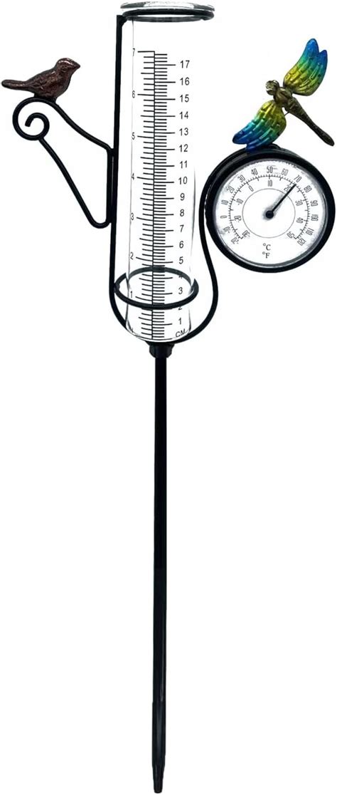 Poxoho Bird Libelle Art Regenmesser Outdoor Mit Thermometer Zoll