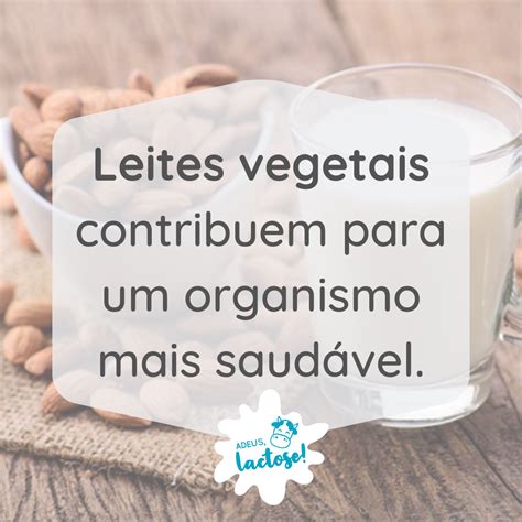 Leites vegetais Intolerância à lactose