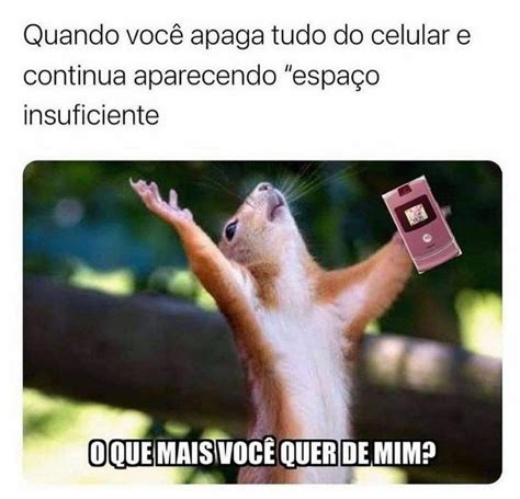 41 memes e imagens engraçadas para Status do WhatsApp DPopular