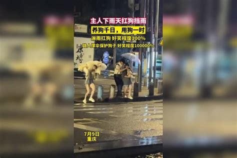 主人下雨天扛狗挡雨，养狗千日，用狗一时。淋雨扛狗：好笑程度100，路人撑伞保护狗子：好笑程度100000