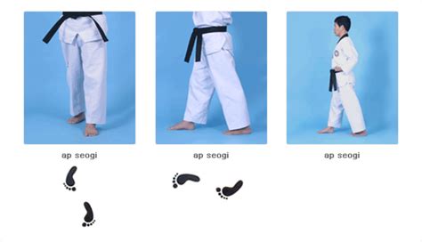 Seogi Stances Safekids Usa Blue Dragon Taekwondo