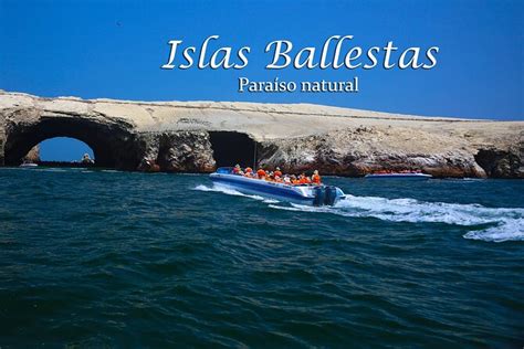 Islas Ballestas Y Reserva Nacional De Paracas 2024 Ica