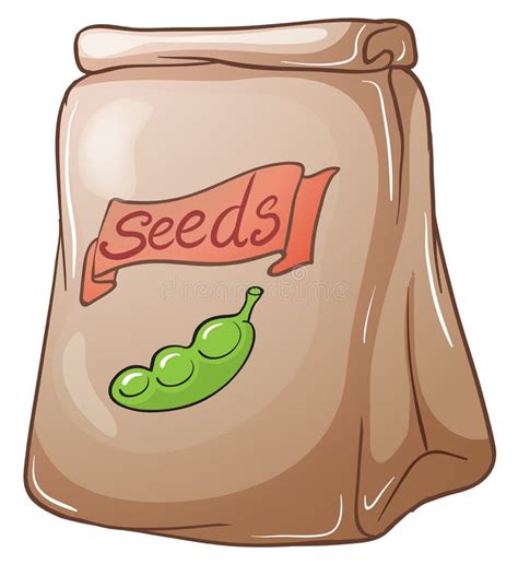 A Pack Of Seeds Stock Vector Illustration Of Collection 41503731