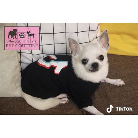 TikTok Pet Dog Cat Shirt clothes Tik Tok Pet Clothes | Lazada PH