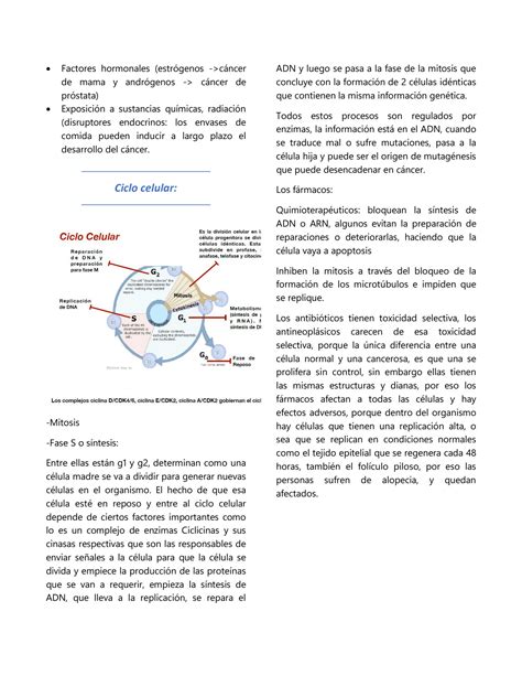 SOLUTION Marcadores Tumorales Diagnostico Y Tratamiento Del Cancer