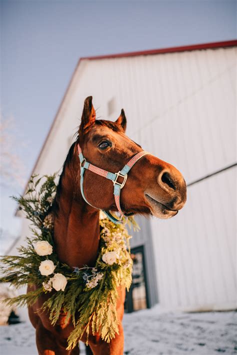 Snowy Styled Shoot - Tobacco Barn Farm