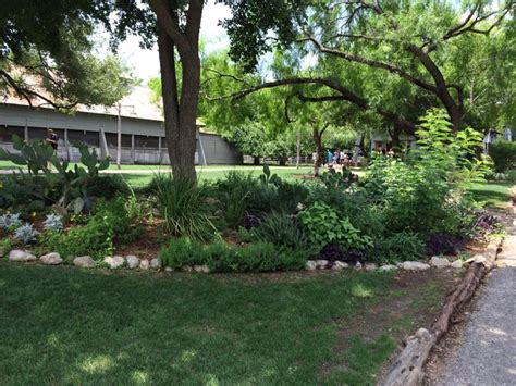 53 Best Images About Texas Shade Garden On Pinterest Gardens Texas