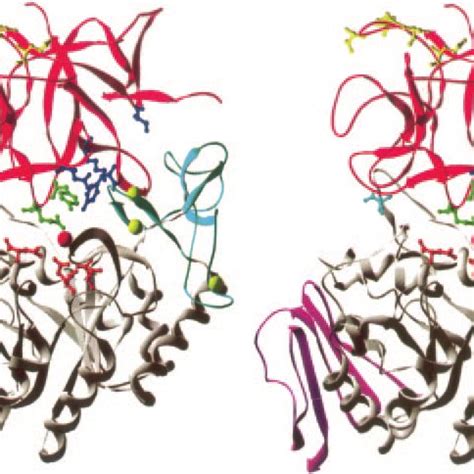 Sequence Alignment Of Amylase Subtilisin Inhibitors From BASI WASI