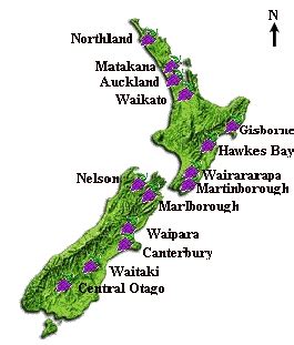 New Zealands Wine Regions A Layman S Wine Musings