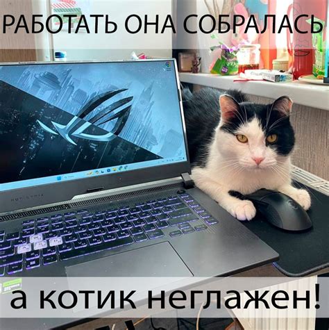Невыносимые условия | Пикабу