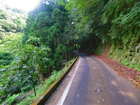 大鍋林道で大鍋越峠を越えて河津へ 伊豆の中年チャリダー