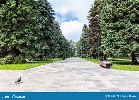 A Path Of Paving Slabs In A Park Stock Photo Image Of Trees Footpath