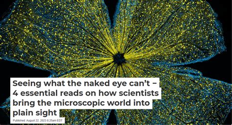 Seeing What The Naked Eye Cant 4 Essential Reads On How Scientists