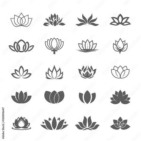 What Is The Symbolism Of A Lotus Flower | Best Flower Site