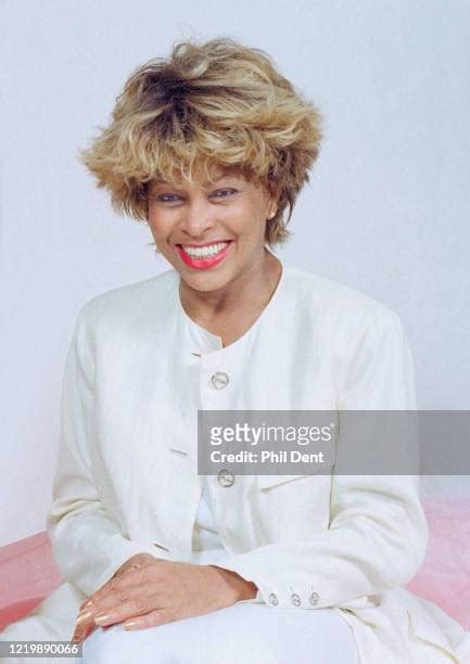 1576 Tina Turner Portrait Stock Photos High Res Pictures And Images