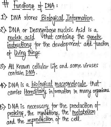 Function of DNA in 2022 | Medical school essentials, Medical school ...