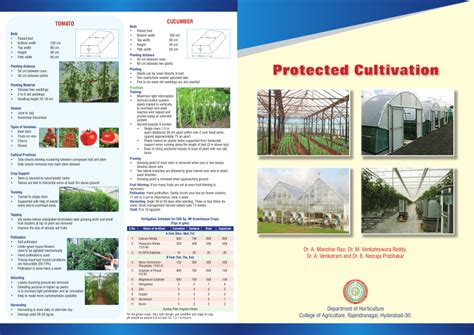 Pdf Protected Cultivation In Hort Crops