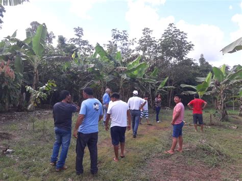 Funai Em Cacoal Promove O Dia Especial Da Cafeicultura Ind Gena