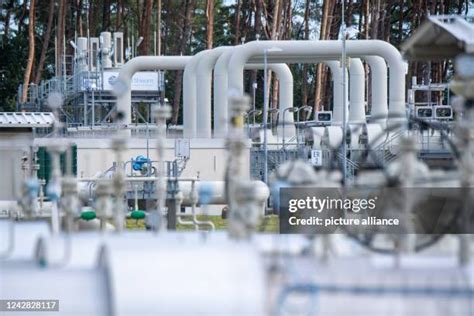 381 Baltic Pipeline System Stock Photos, High-Res Pictures, and Images ...