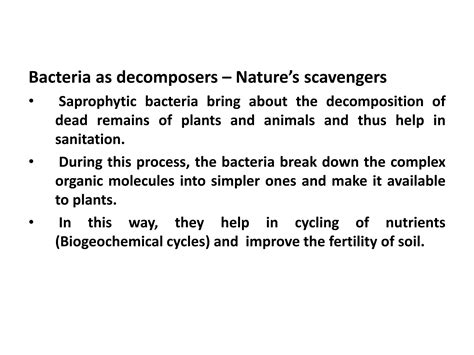 Economic Importance Of Bacteria 11