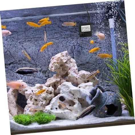 Pi Ces Pompe Eau Pour Aquarium Submersible Frais Pompes Pompe Pour