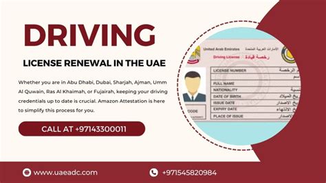 Streamlining Your Driving License Renewal in the UAE: Expert Assistance ...