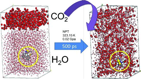 Md Simulation Of The Supercritical Carbon Dioxide Extraction Of The