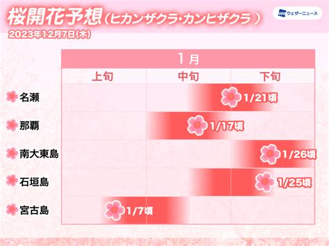 沖縄・奄美地方の桜開花予想2024年 ウェザーニュース