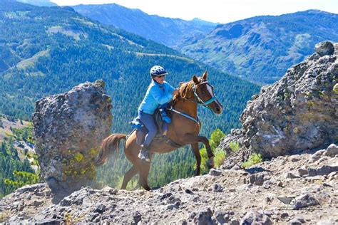 Annual Western States Trail Ride Tevis Cup - July - American River Resort