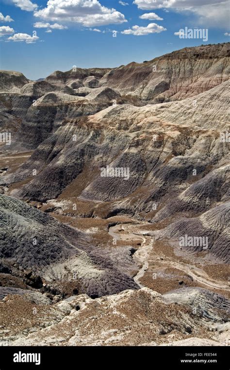 Blue Mesa Badlands In The Painted Desert And Petrified Forest National