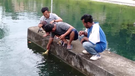 Mancing Ikan Di Air Tawar Youtube