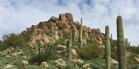 10 Best Parks in Scottsdale | Stay With Style Scottsdale