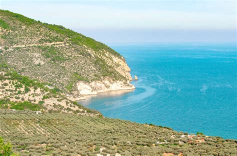 Vacanze Nel Parco Nazionale Del Gargano Cosa Fare E Come Visitarlo