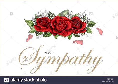 Condolences Sympathy Card Floral Red Roses Bouquet And Lettering Stock