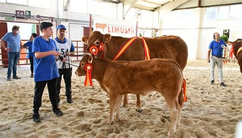 Luciano y Narnia campeón y campeona del XXIX Concurso Nacional de