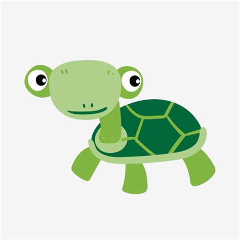 Green Sea Turtle Clipart PNG Images, Tortoise Turtle Green Green Green ...