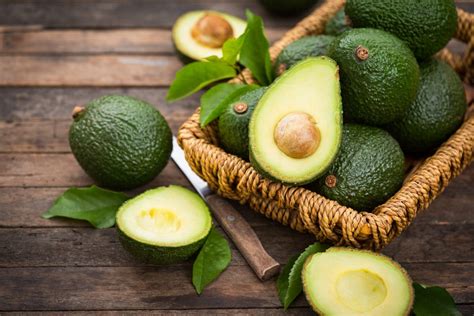 Come Far Germogliare Un Seme Di Avocado Tutte Le Fasi Da Seguire Ohga