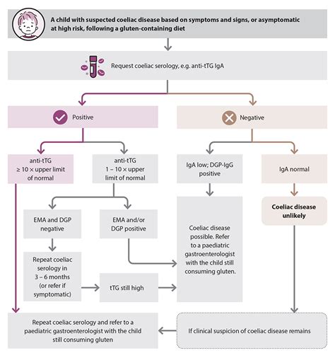 Coeliac Disease Investigation And Management Bpacnz