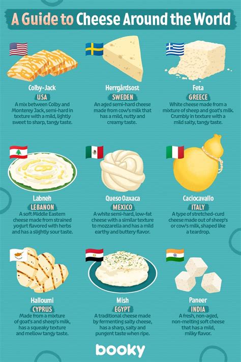 A Guide To Cheese Around The World Food Infographic Food Info Cafe Food