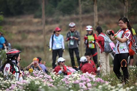 【惠州文脉·聚焦】博罗：文旅复苏春意浓 千年古邑蓄势发