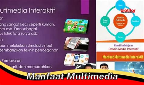 Temukan Manfaat Multimedia Yang Jarang Diketahui Biotifor