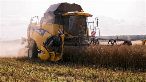 Niwa Rzepaku Dwa Kombajny W Akcji New Holland John Deere