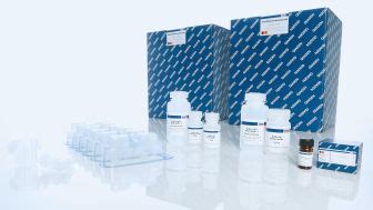 Qiaamp Dna Mini Kit Qiagen Univ