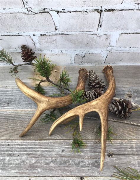 DEER ANTLERS Pair Rustic Natural Camp Decor Woods Hunting Etsy Deer