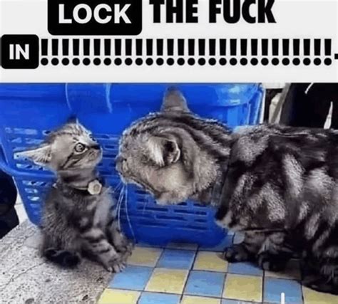 Lock In Meme Lock In Discover And Share S