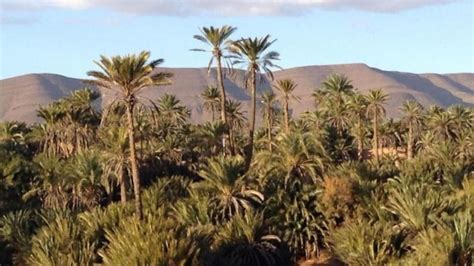 M T O Chaleur Au Tafilalet Et Au Sahara Pluies Dans Plusieurs R Gions