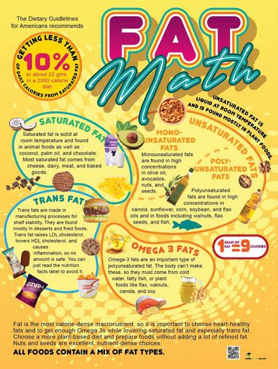 Fat Math Poster Nutrition Education Poster 18 X 24 Laminated