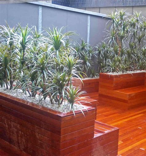 indoor planter box settings australia interior gardens