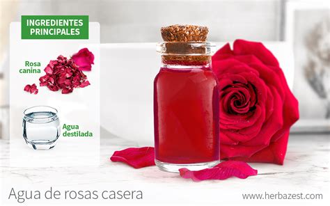 Agua De Rosas Casera HerbaZest